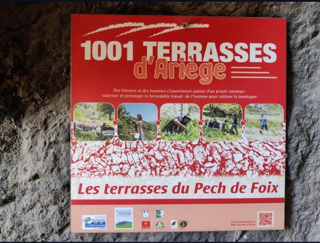 Hebergements Entiers Two Homes T1 Bas Or T1 Haut -Aux Terrasses Du Pech Foix Exterior foto